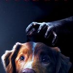 مشاهدة فيلم Good Boy 2025 مترجم